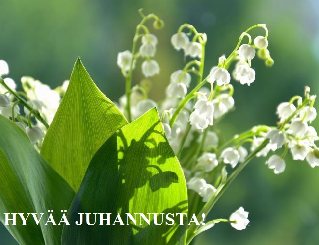 lily-of-the-valley-sun.jpg